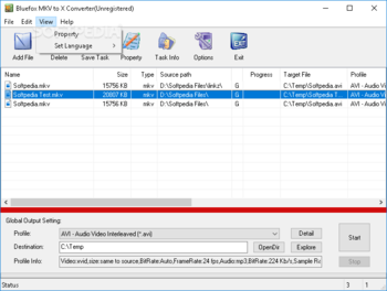 Bluefox MKV to X Converter screenshot 4