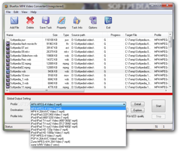 Bluefox MP4 Video Converter screenshot