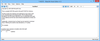 BlueLife Hosts Editor screenshot 6