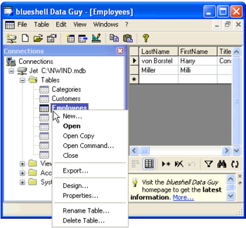 blueshell Data Guy screenshot
