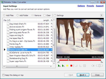 Bobabo Video Converter screenshot 2