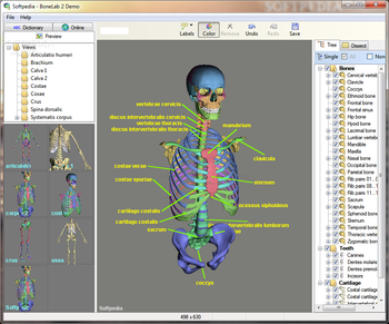 BoneLab screenshot