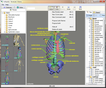 BoneLab screenshot 2