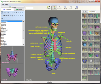 BoneLab screenshot 3