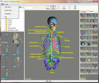 BoneLab screenshot 4