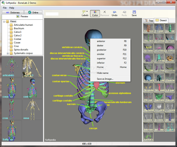 BoneLab screenshot 5