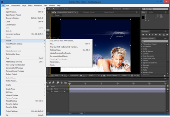 Boris AAF Transfer for After Effects screenshot