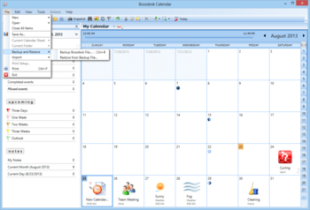 Bossdesk Calendar screenshot 8