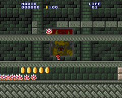 Bowser's Tricky Castle screenshot