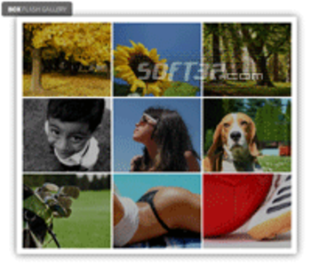 Box Flash Gallery screenshot 2