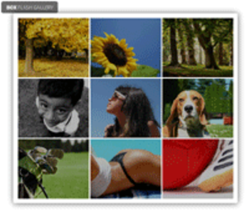 Box Flash Gallery screenshot 3