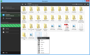 BoxCryptor Portable screenshot 2