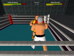 Boxer's Story screenshot 3