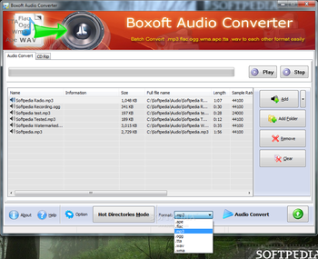 Boxoft Audio Converter screenshot 3