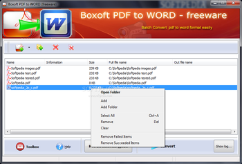 Boxoft PDF to Word screenshot 2