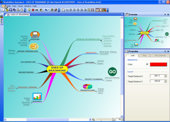 BrainMine Standard 2005 screenshot