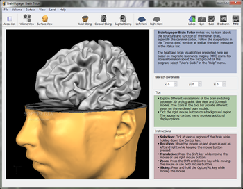 BrainVoyager Brain Tutor screenshot