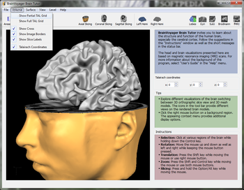 BrainVoyager Brain Tutor screenshot 2