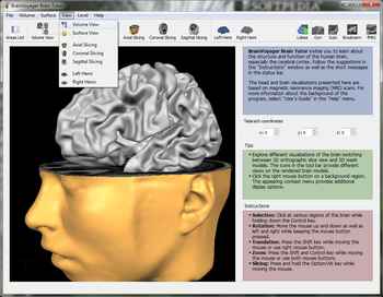 BrainVoyager Brain Tutor screenshot 4