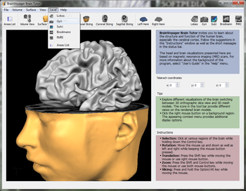 BrainVoyager Brain Tutor screenshot 5