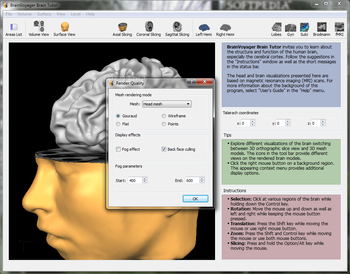BrainVoyager Brain Tutor screenshot 6