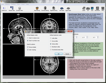 BrainVoyager Brain Tutor screenshot 7
