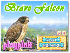 Brave Falcon screenshot