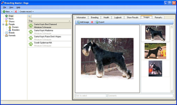 Breeding Master screenshot 2
