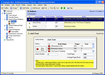Brilliant Database Server screenshot 2