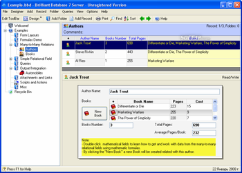 Brilliant Database Server screenshot 3