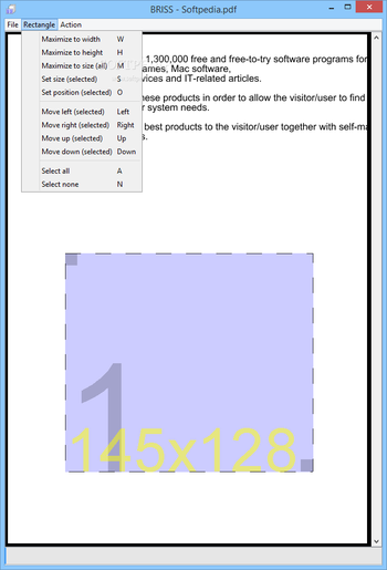 Briss screenshot 3