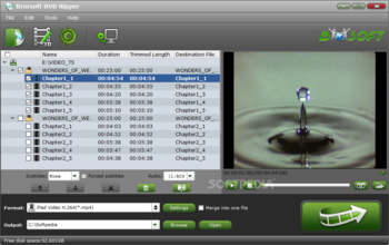 Brorsoft DVD Ripper screenshot