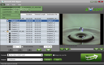 Brorsoft DVD Ripper screenshot 4