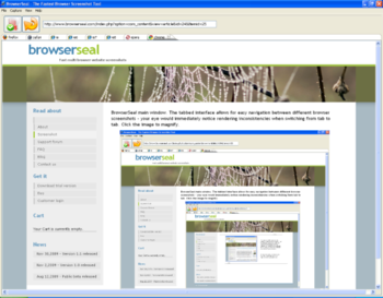 BrowserSeal screenshot
