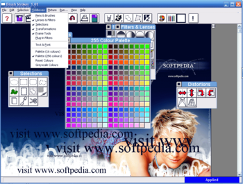 Brush Strokes Image Editor screenshot 3