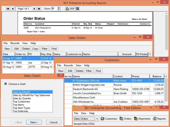 BS Accounting Free screenshot