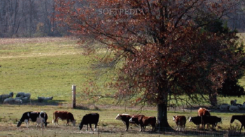 Bucks County Screensaver screenshot