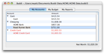 Buddi screenshot