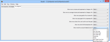 Buddi screenshot 3