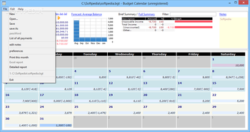 Budget Calendar screenshot 2