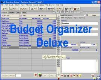 Budget Organizer Deluxe screenshot 2