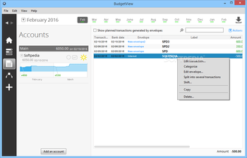 BudgetView screenshot 3