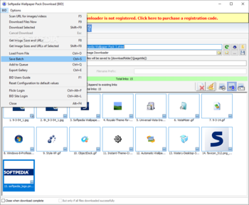 Bulk Image Downloader screenshot 4