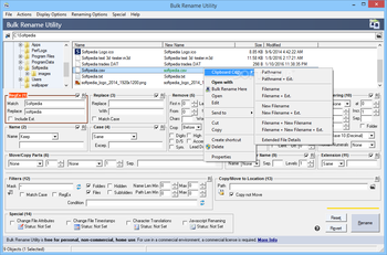 Bulk Rename Utility screenshot