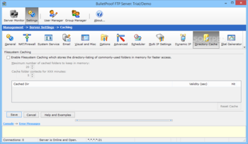 BulletProof FTP Server screenshot 19