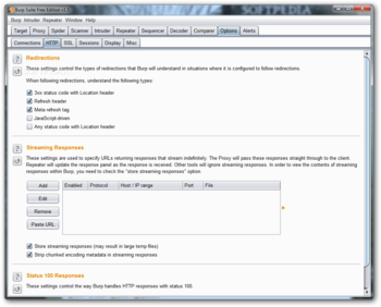 Burp Suite Free Edition screenshot 11