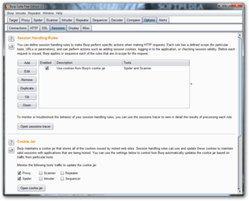 Burp Suite Free Edition screenshot 13