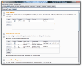 Burp Suite Free Edition screenshot 2