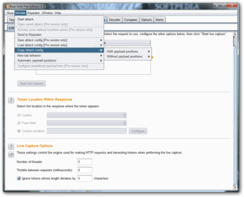 Burp Suite Free Edition screenshot 8