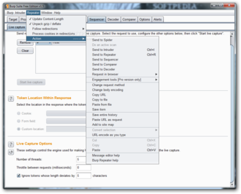 Burp Suite Free Edition screenshot 9